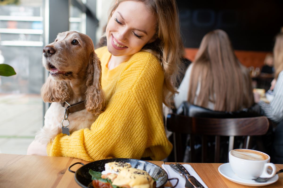 Kohima no roteiro de restaurantes pet friendly da Lisboa Secreta